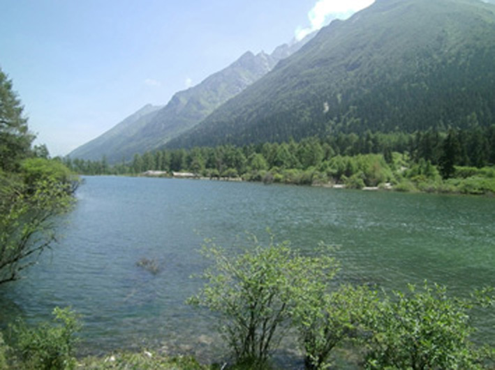 风景